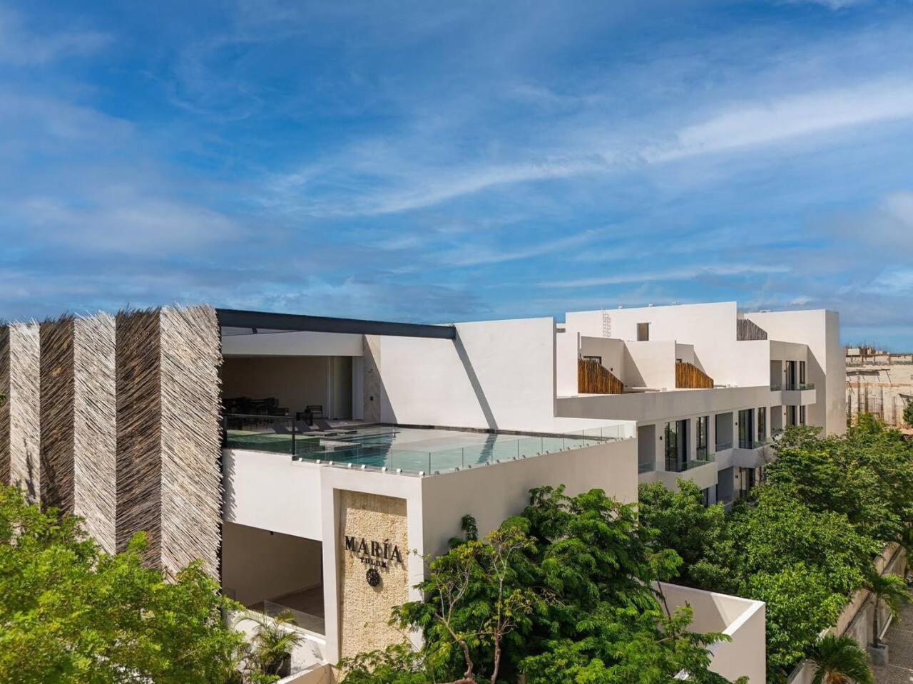 3br Penthouse With Private Plunge Pool Hébergement de vacances Tulum